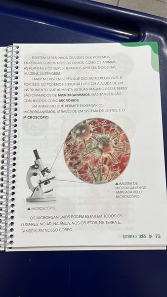 Vamos conhecer o microscópio?