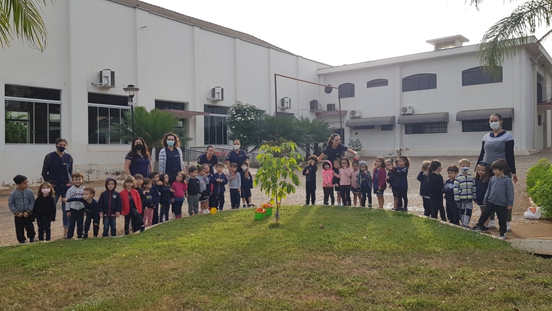 Semana do Meio Ambiente (Minijardim-Ana e Daniela)