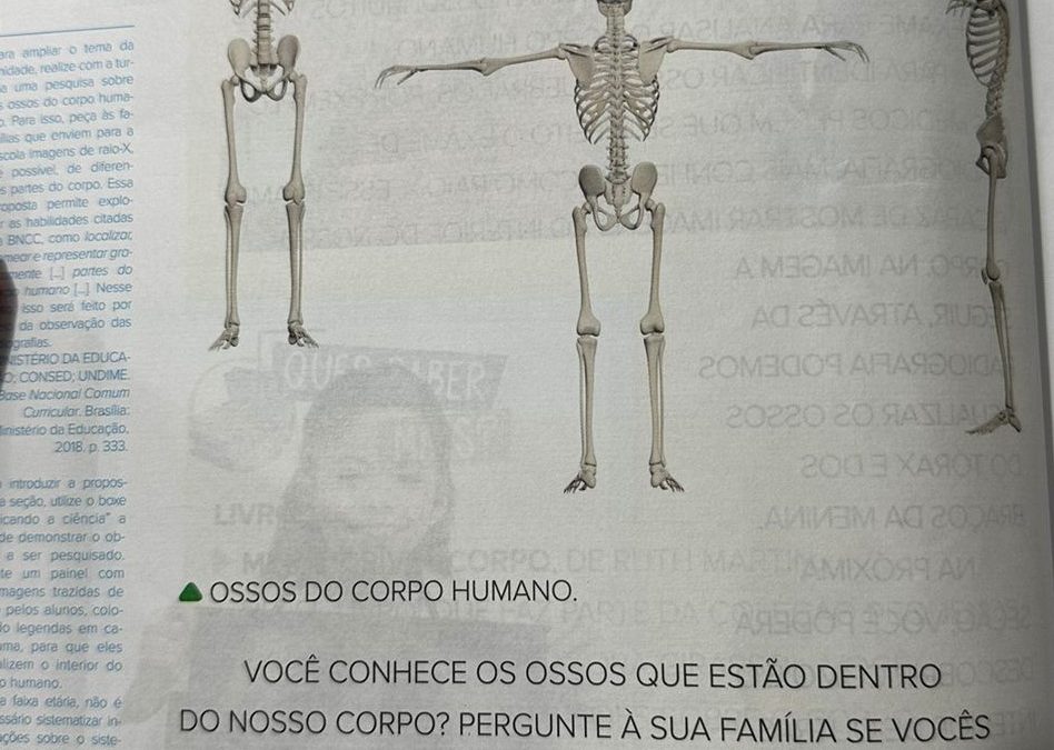 Alunos dos 1º anos estudam partes do corpo