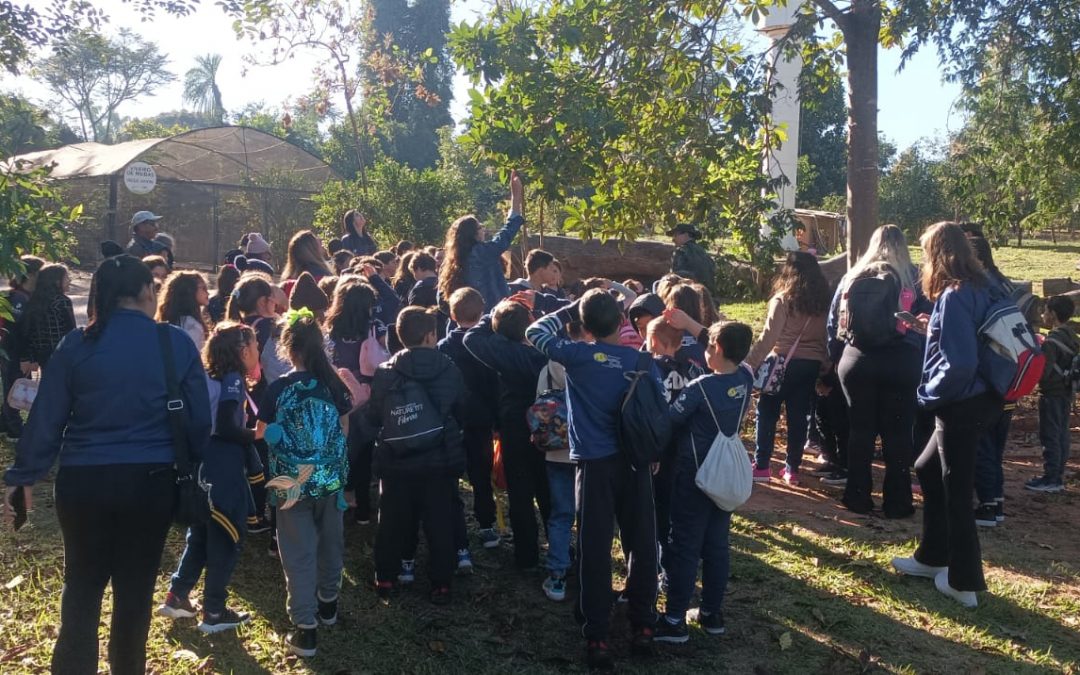Alunos dos 3º anos visitam Horto Florestal